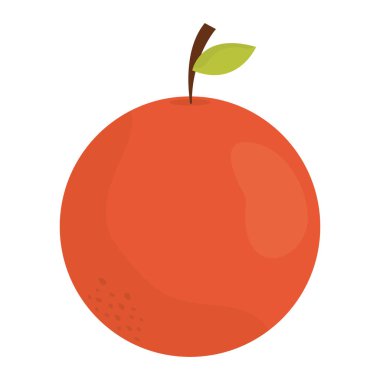 portakal narenciye taze meyve simgesi