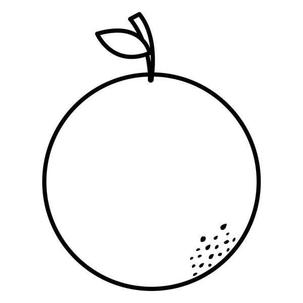 Laranja citrinos ícone de frutas frescas —  Vetores de Stock