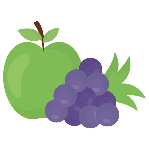 ผลไม้สดแอปเปิ้ลและองุ่น — ภาพเวกเตอร์สต็อก