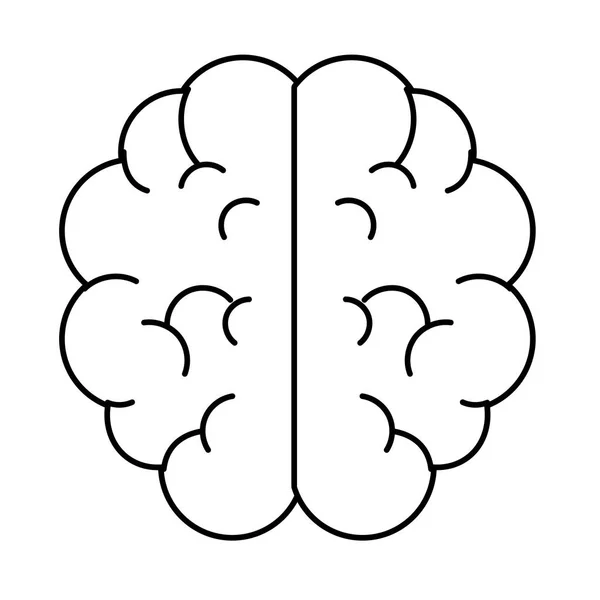 Icône isolée du cerveau — Image vectorielle