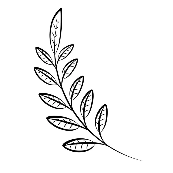 Feuilles branche décoratif — Image vectorielle