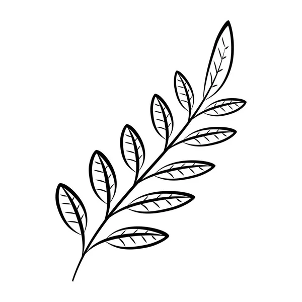 Listy dekorativní větve — Stockový vektor