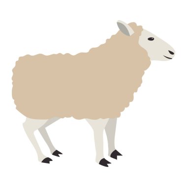 memeli hayvan çizgi film