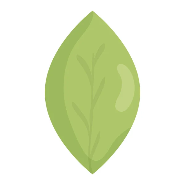 Liść roślina ekologia ikona — Wektor stockowy