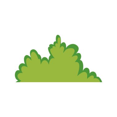 Bahçe bush doğal sahne