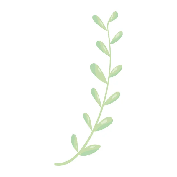 Gren med bladväxt — Stock vektor
