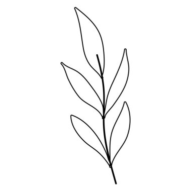 Yapraklı ağaç dalı.