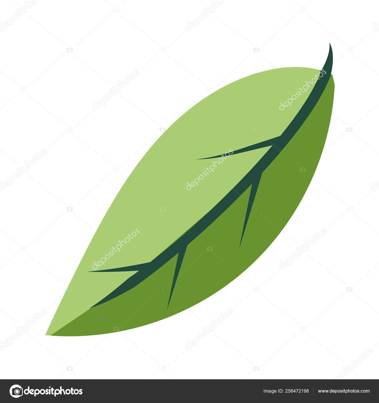 Tree leaf cartoon Stock Vector Image by ©stockgiu #256472198 Tree leaf cartoon Stock Vector Image by ©stockgiu #256472198