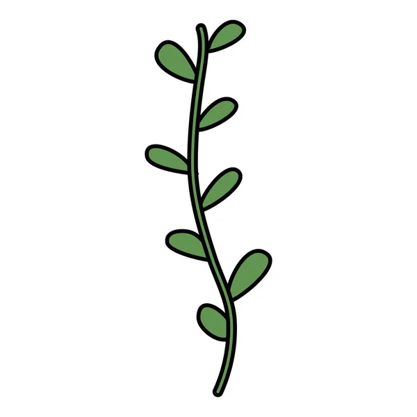 Branche avec plante à feuilles — Image vectorielle