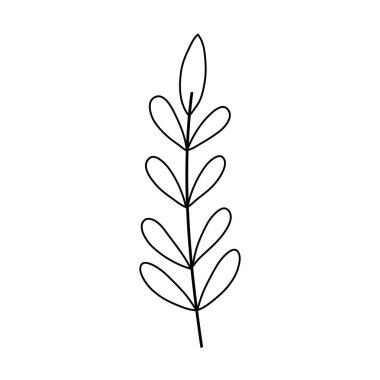 Yapraklı ağaç dalı.