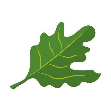 taze rucola sebze çizgi film