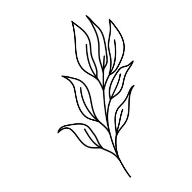 Yapraklı ağaç dalı.