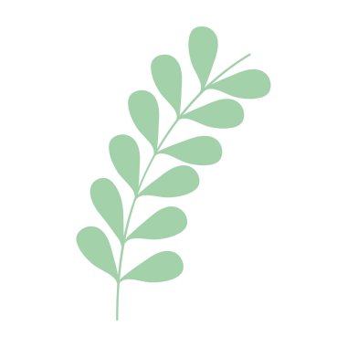 Yapraklı ağaç dalı.