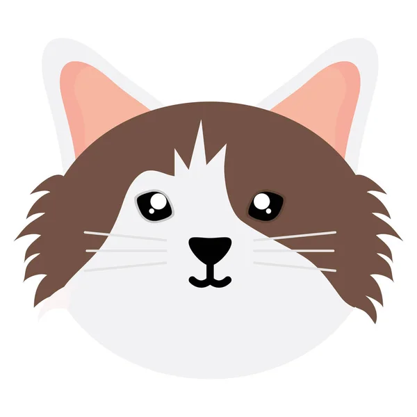 Aranyos kis macska kisállat fej karakter — Stock Vector