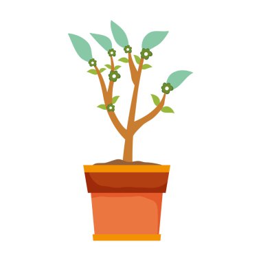 sevimli houseplant çiçek dekorasyon