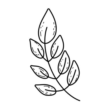 Yapraklı ağaç dalı.