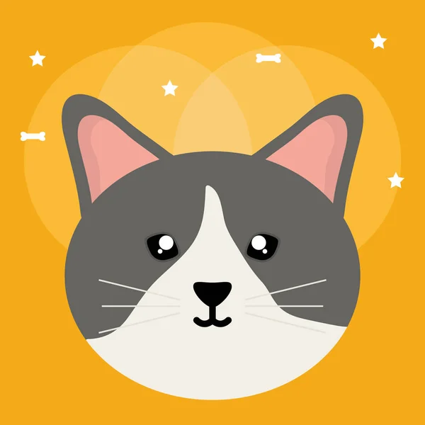 Mignon petit chat animal de compagnie tête personnage — Image vectorielle
