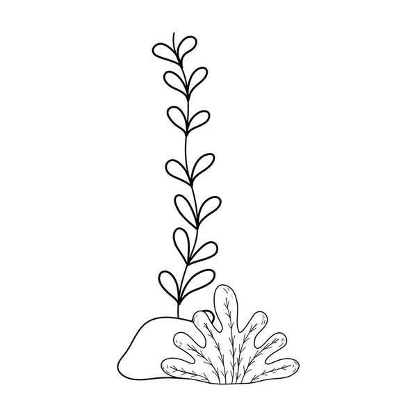 海藻水下自然图标 — 图库矢量图片