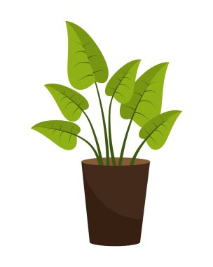 Mobilya kavramı karikatür