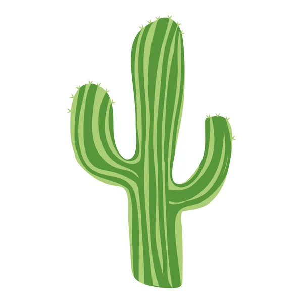 Mignon cactus dessin animé — Image vectorielle