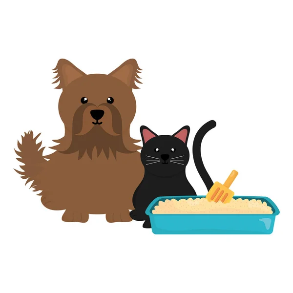 Mignon petit chat et chien avec bac à sable — Image vectorielle