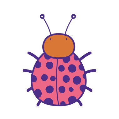 sevimli ve küçük uğur böceği