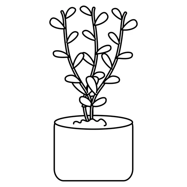 Tak met bladeren plant in pot — Stockvector