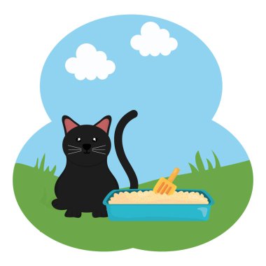 alanda kum kutusunda sevimli küçük kedi