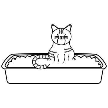 Kum kutusu karakteri sevimli küçük kedi