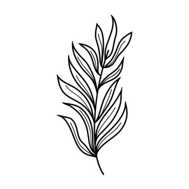 Yapraklı ağaç dalı.