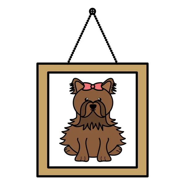 Cute little dog in picture hanging — Stock Vector