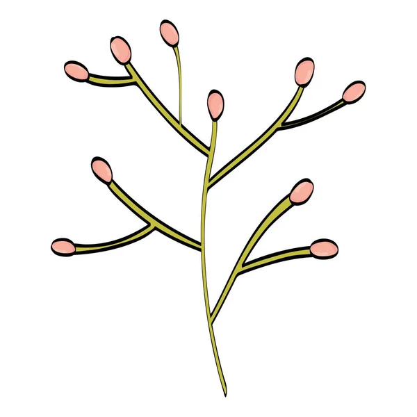Ág virágok növény — Stock Vector