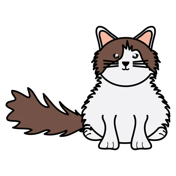 Bonitinho pequeno gato pet personagem —  Vetores de Stock