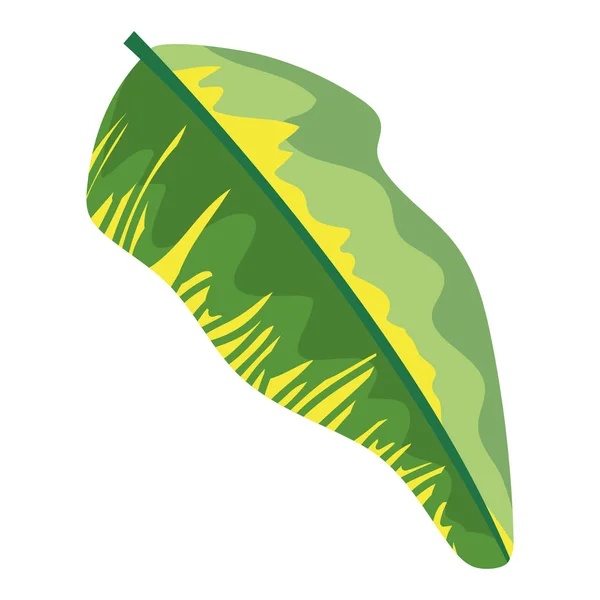 Tree leaf cartoon — Stock Vector