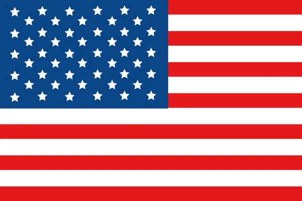 Bandera del Estado unido — Vector de stock