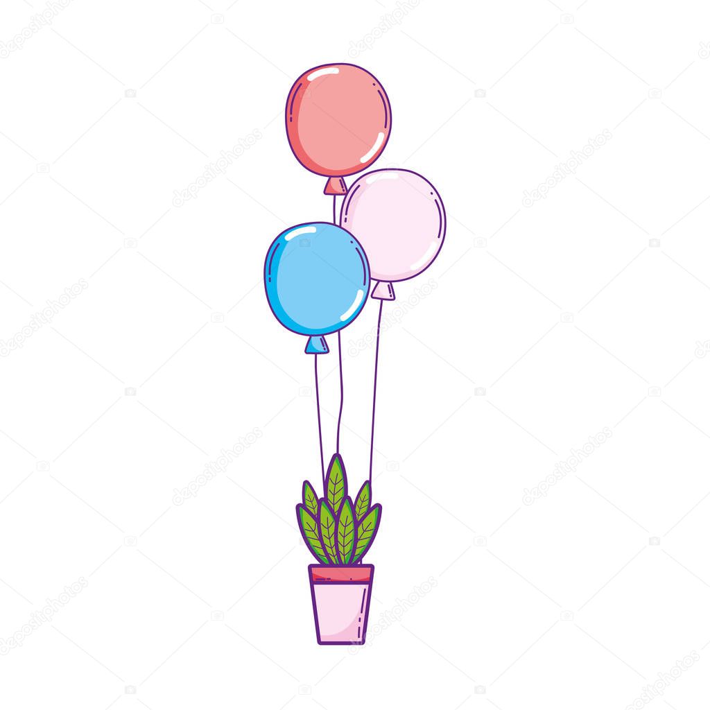 party balloons helium with houseplant
