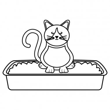 Kum kutusu karakteri sevimli küçük kedi