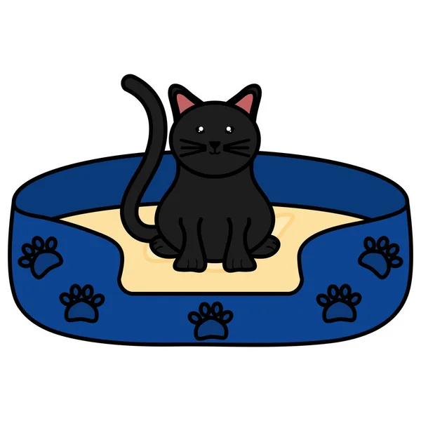 Cat bed png Stock Photos, Royalty Free Cat bed png Images Depositphotos