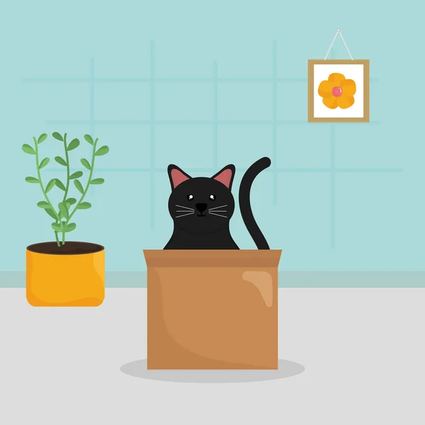Cute little cat in box carton — Stock Vector