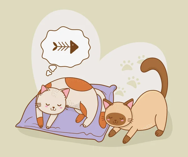 Lindo poco gatos mascotas caracteres — Vector de stock