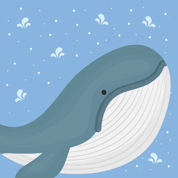 Schattig walvis schattig karakter — Stockvector