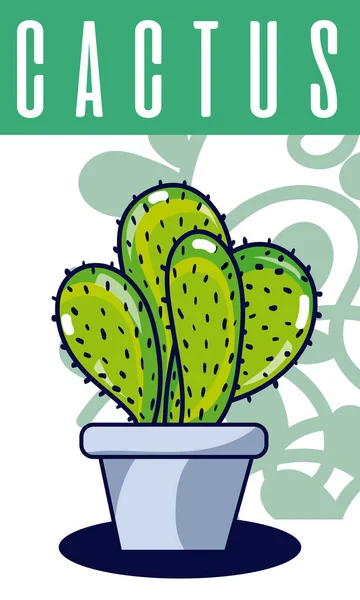 Cactus planta de la casa — Archivo Imágenes Vectoriales