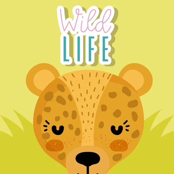 Leopárd vadon élő állatok rajzfilm — Stock Vector