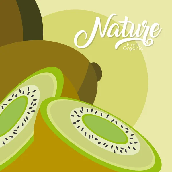 Kiwi's natuur fruit — Stockvector