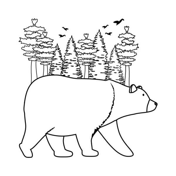 Pines trees forest scene with bear grizzly — Stock Vector
