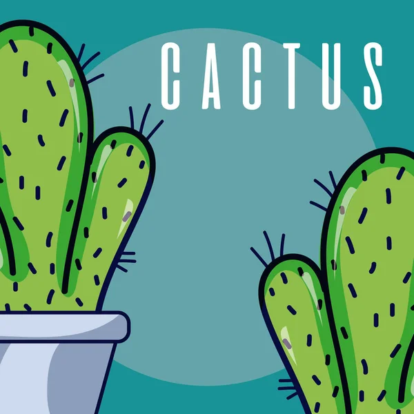 Plantas de cactus — Archivo Imágenes Vectoriales