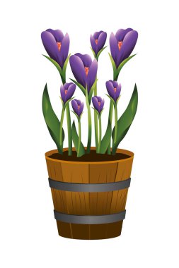 çiçek tropikal karikatür