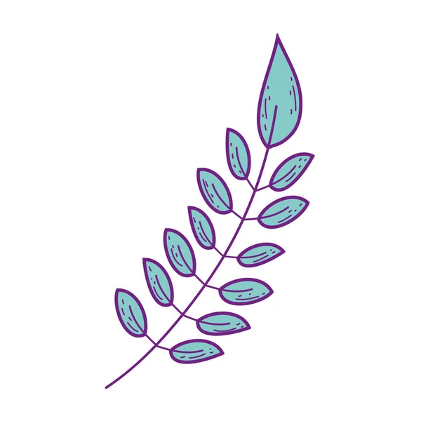 Zweig mit Blattpflanze — Stockvektor