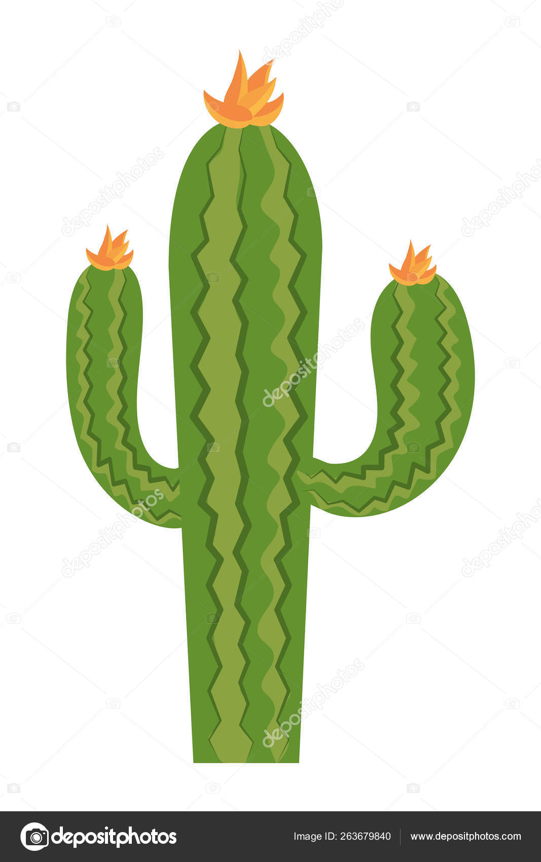 Desert cactus cartoon Stock Vector Image by ©stockgiu #263679840
