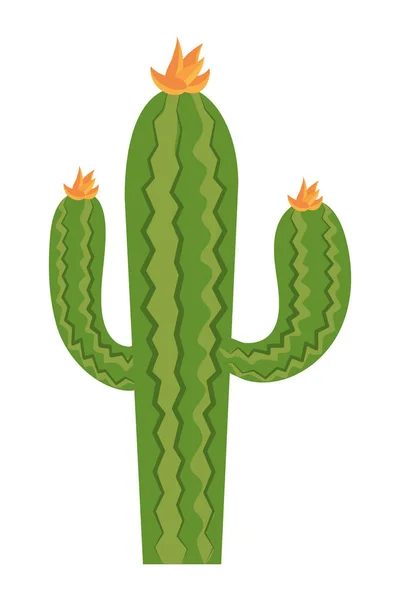 Dibujos animados de cactus del desierto — Archivo Imágenes Vectoriales